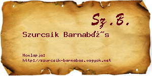 Szurcsik Barnabás névjegykártya